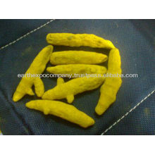 turneric finger india